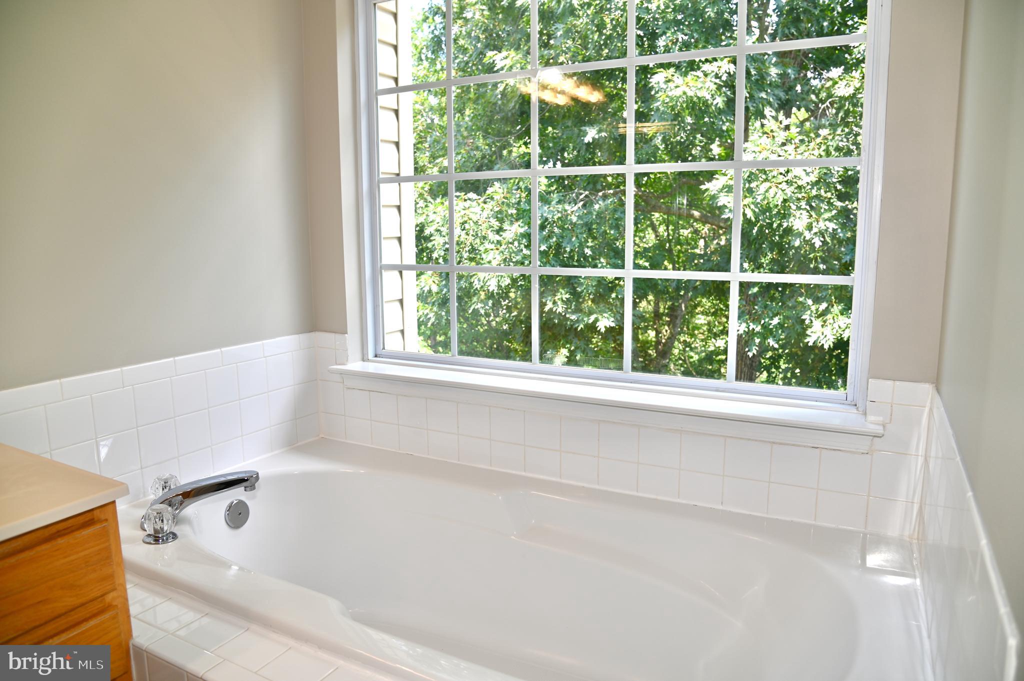 10167 Pale Rose Loop Bristow, VA 20136 - Photo 14 of 20 Primary Soak Tub