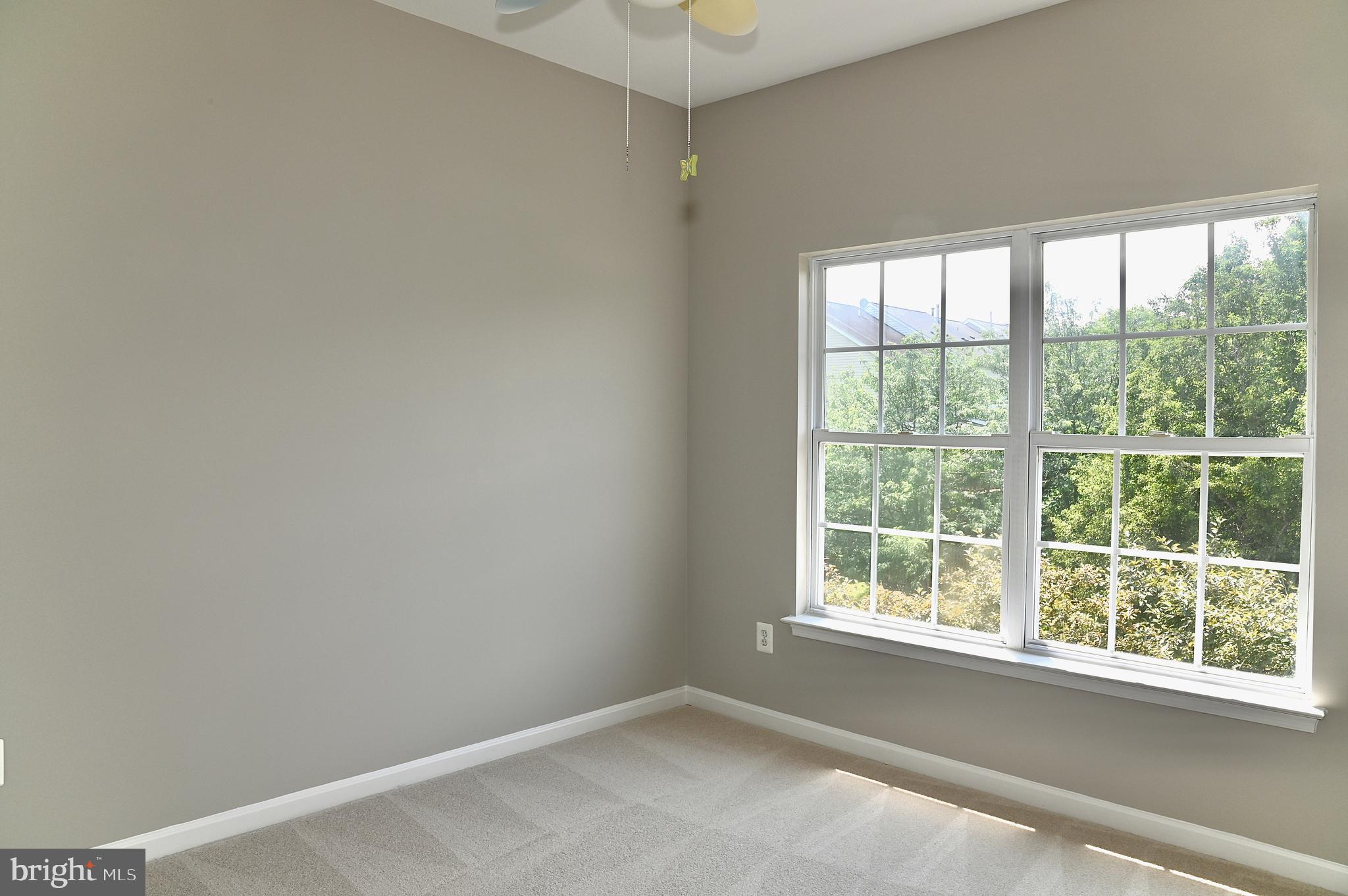 10167 Pale Rose Loop Bristow, VA 20136 - Photo 15 of 20 Bedroom 2