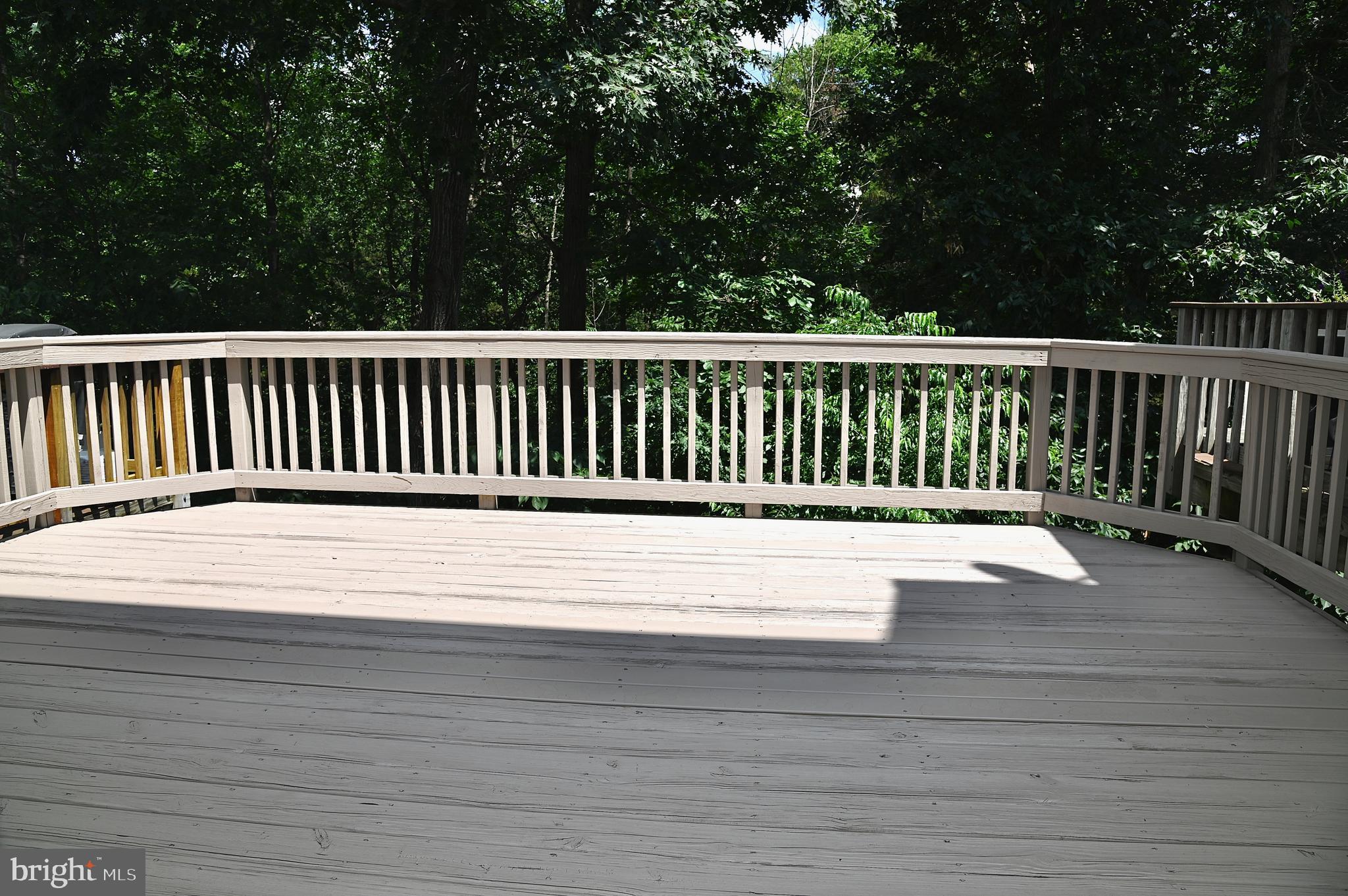 10167 Pale Rose Loop Bristow, VA 20136 - Photo 2 of 20 Rear Deck
Backing to trees