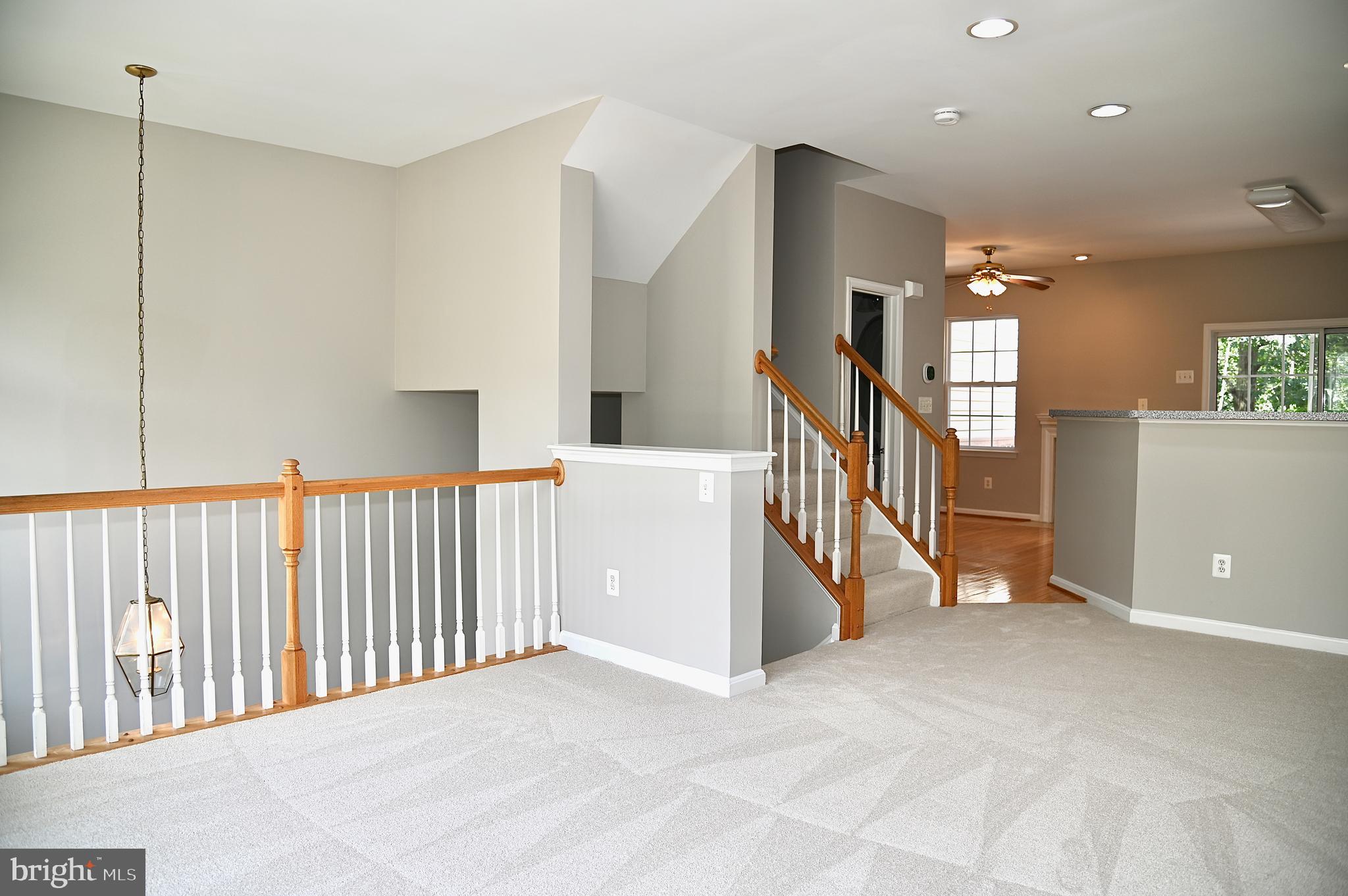 10167 Pale Rose Loop Bristow, VA 20136 - Photo 5 of 20 Family Room