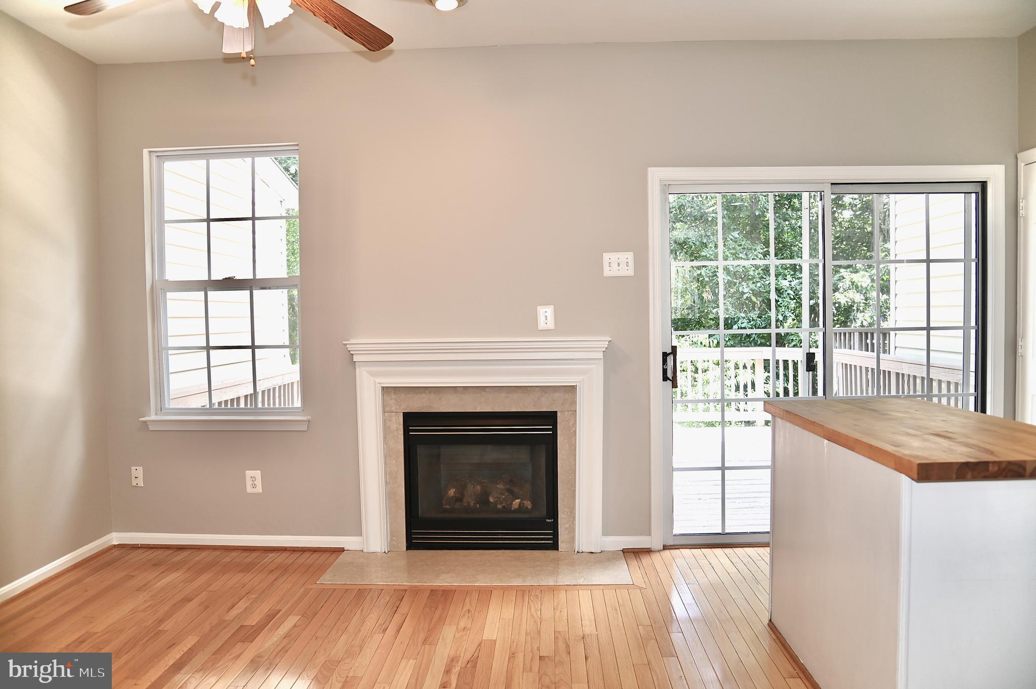 10167 Pale Rose Loop Bristow, VA 20136 - Photo 9 of 20 Gas Fireplace