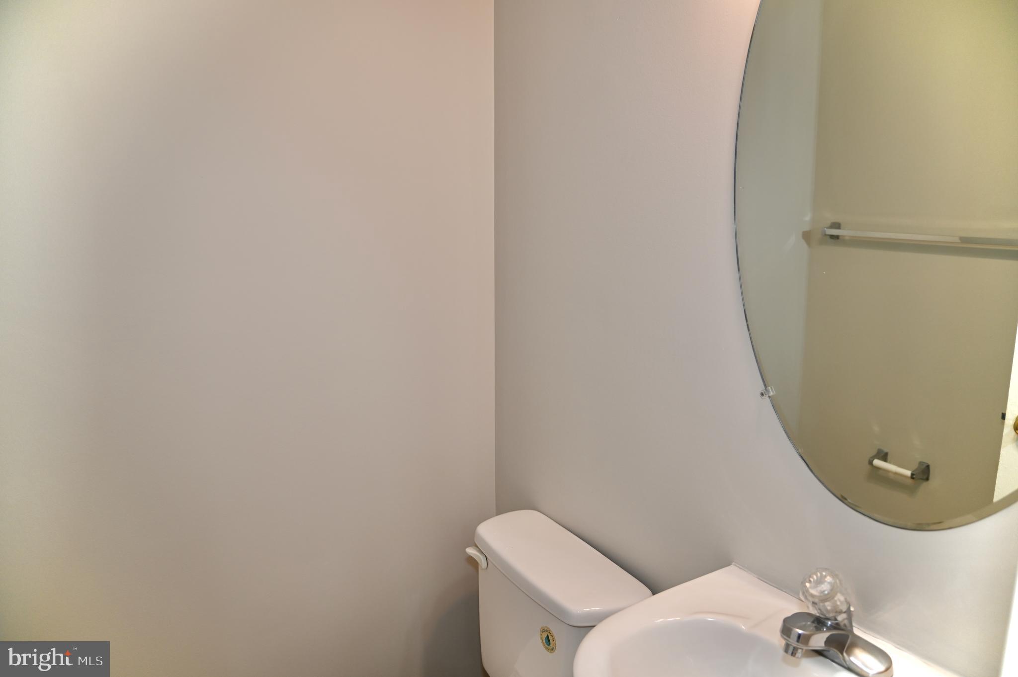 10167 Pale Rose Loop Bristow, VA 20136 - Photo 10 of 20 Powder Room