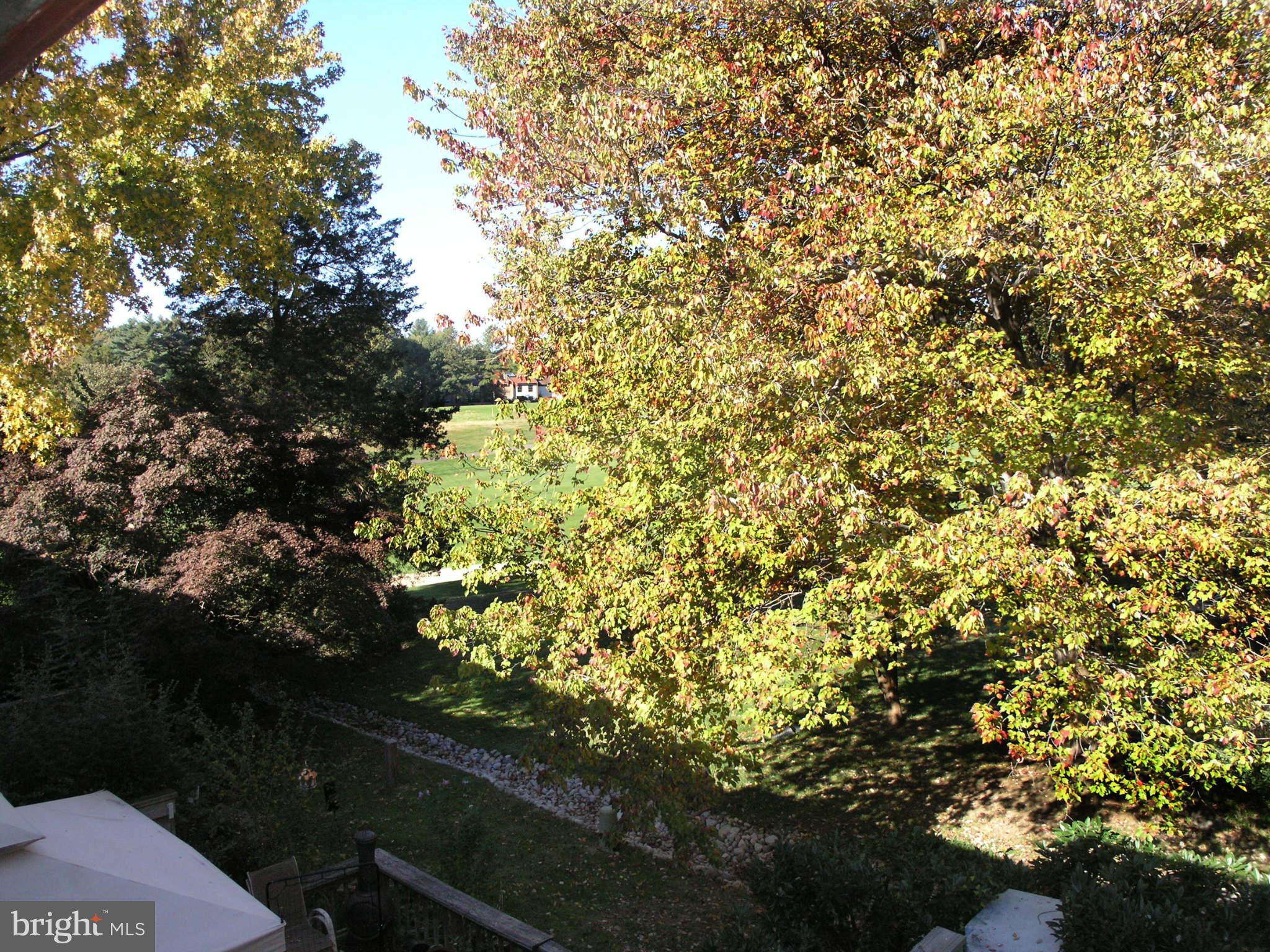 2168 Golf Course Drive Reston, VA 20191 - Photo 24 of 30 a view of a yard