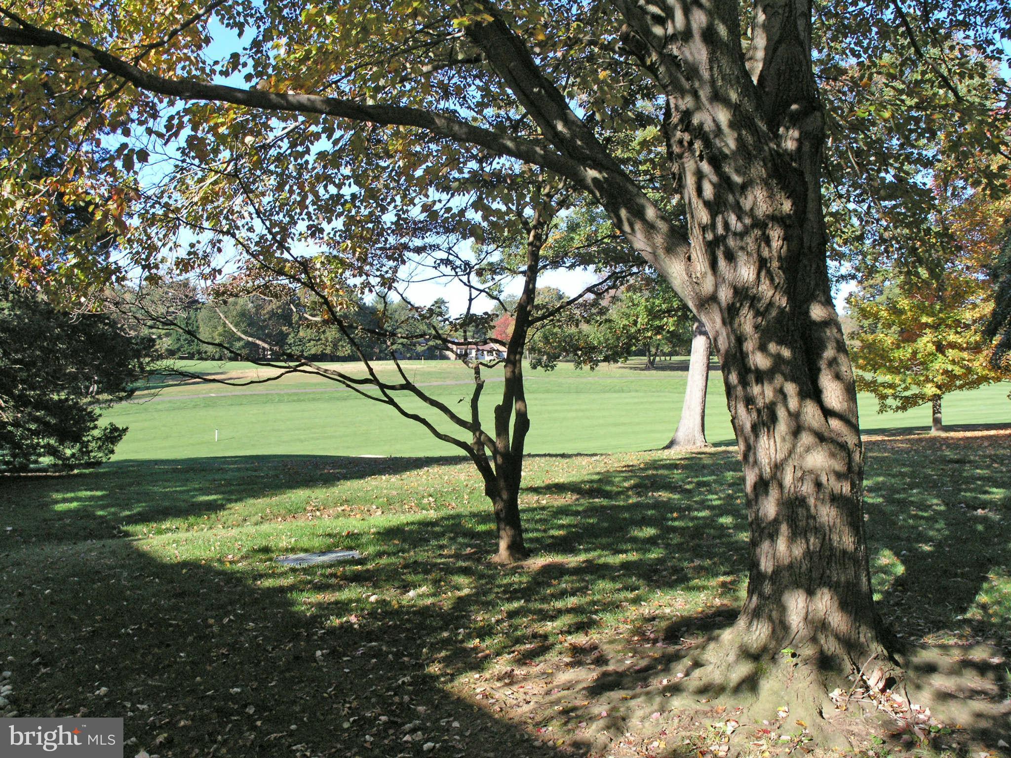 2168 Golf Course Drive Reston, VA 20191 - Photo 25 of 30 a view of a yard with a tree