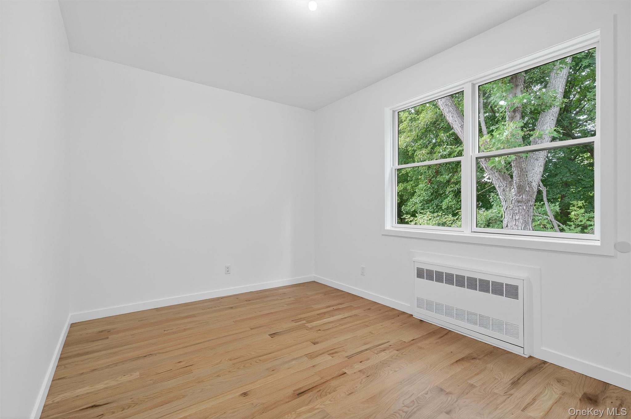 3 Forshee Street Monroe, NY 10950 - Photo 39 of 43 an empty room with wooden floor and windows