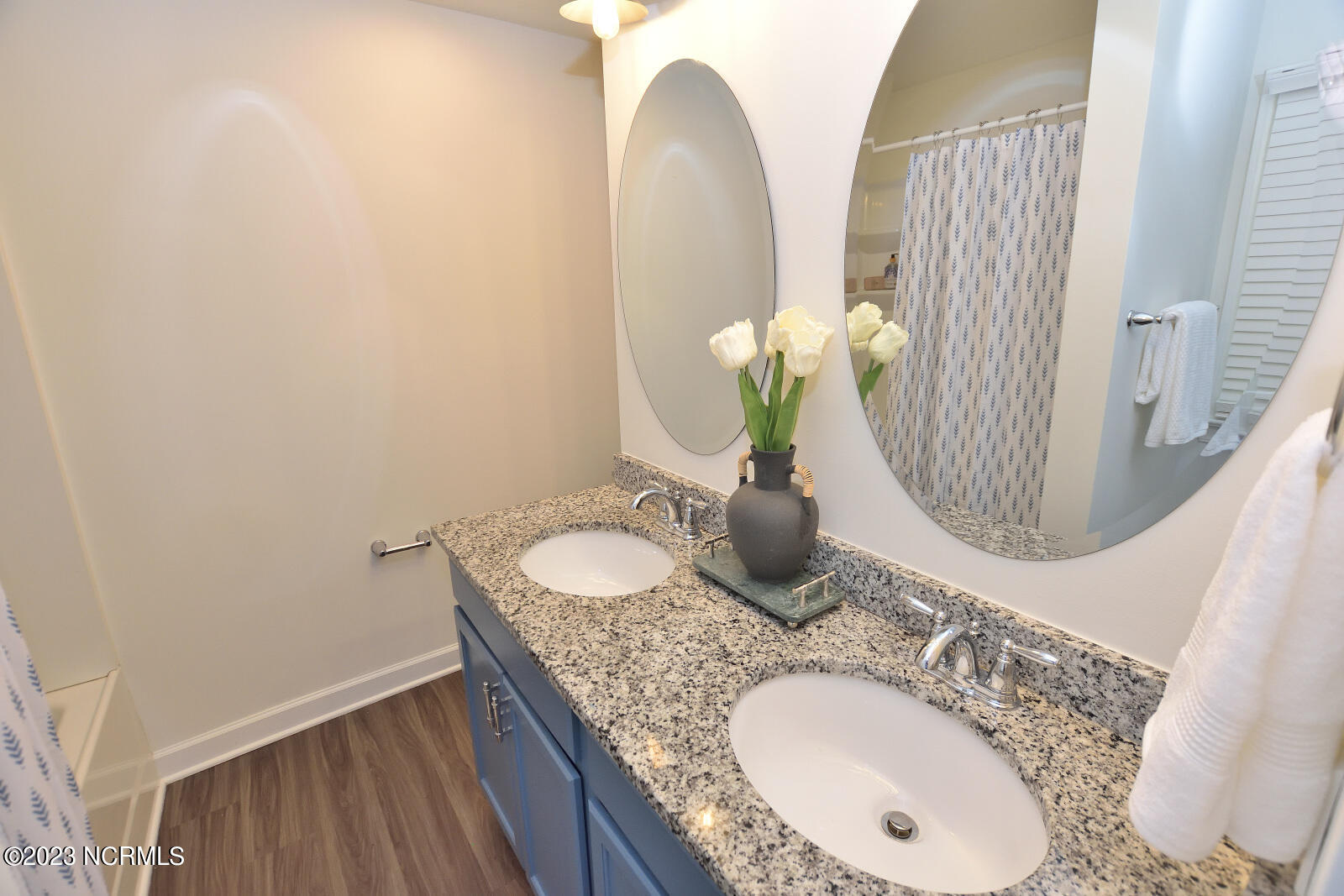 1625 Beverly Road Rocky Mount, NC 27801 - Photo 10 of 12 DSC_0287_907