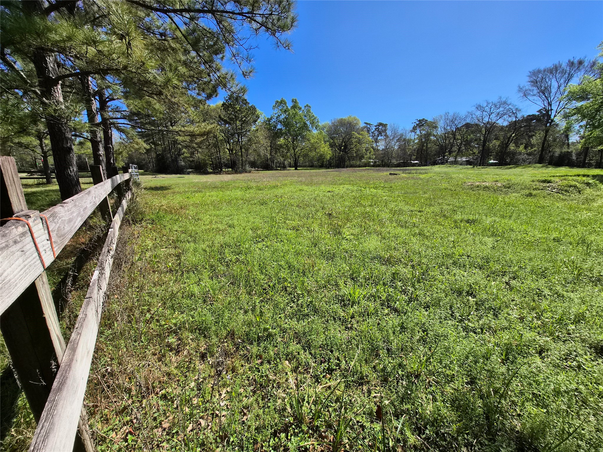 4610 Sloangate Drive Spring, TX 77373 - Photo 20 of 48