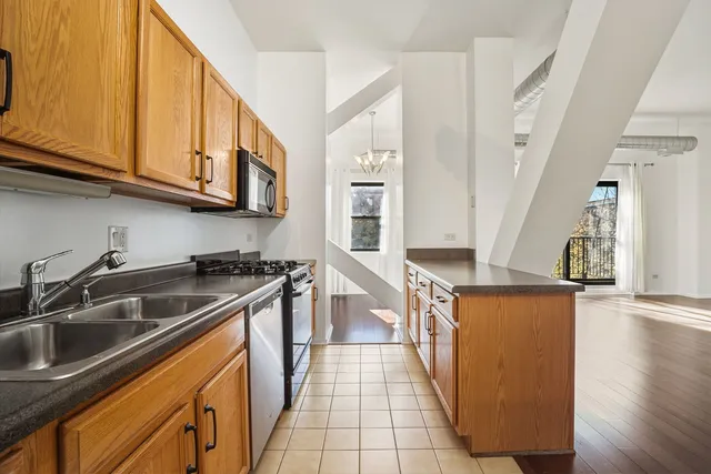 $183,500 | 1000 East 53rd Street, Unit 219, Chicago, IL 60615