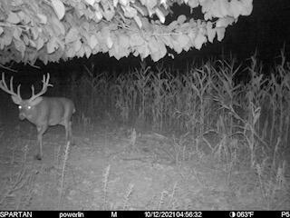 10 Blue Road Mount Vernon, OH 43050 - Photo 23 of 23 IMG_9649