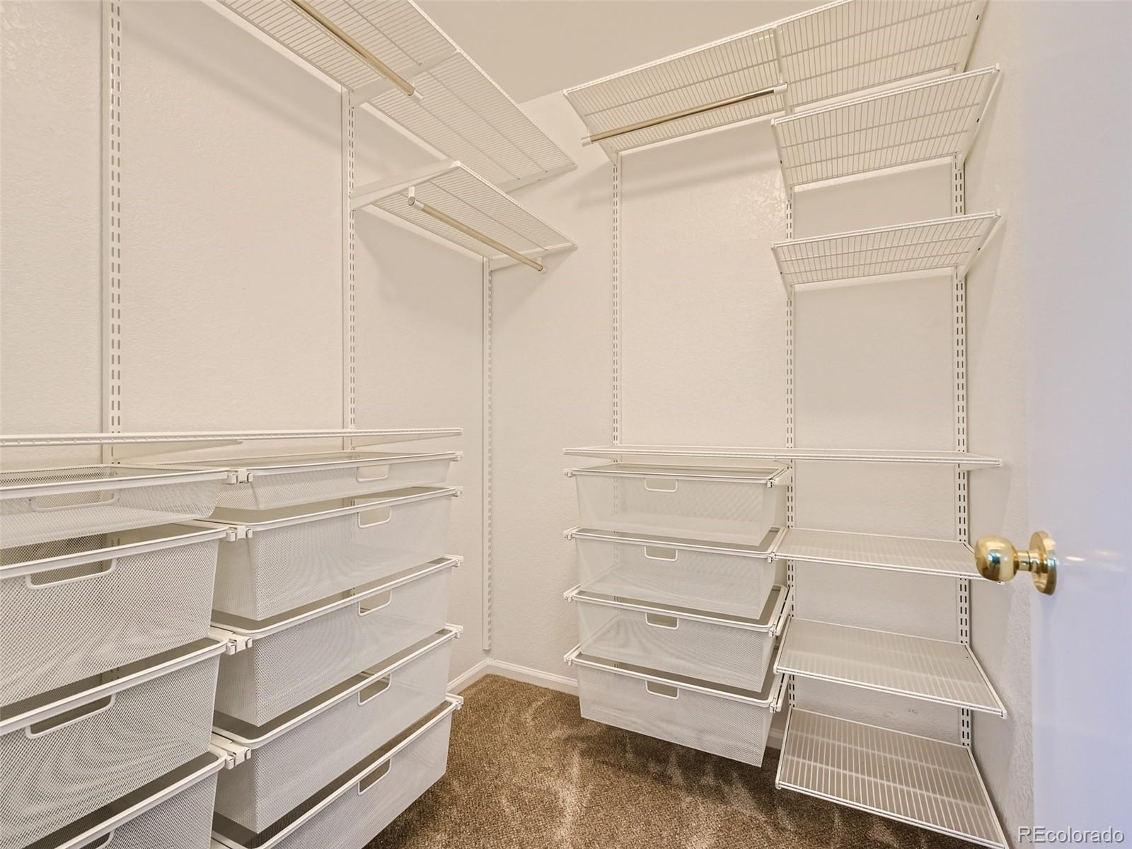 10574 Tracewood Circle Highlands Ranch, CO 80130 - Photo 12 of 21 a view of walk in closet