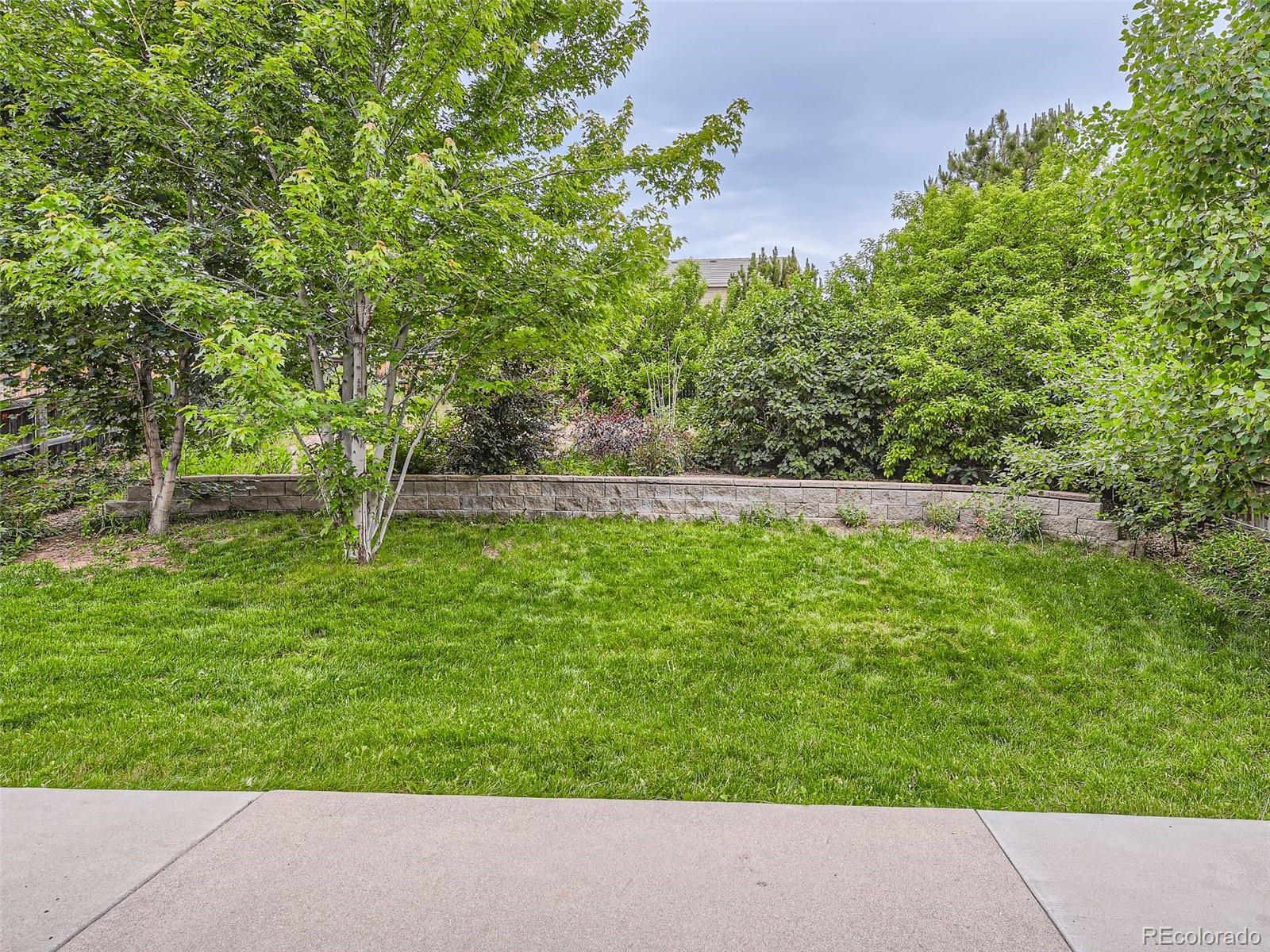 10574 Tracewood Circle Highlands Ranch, CO 80130 - Photo 20 of 21 a backyard of a house with lots of green space