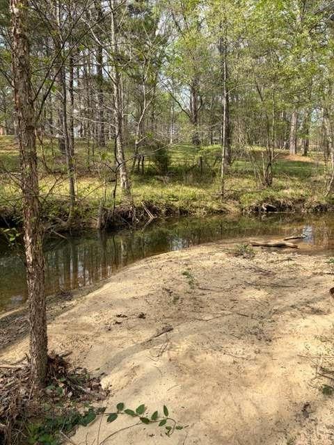 54 Coppermine Road Buchanan, GA 30113 - Photo 3 of 4