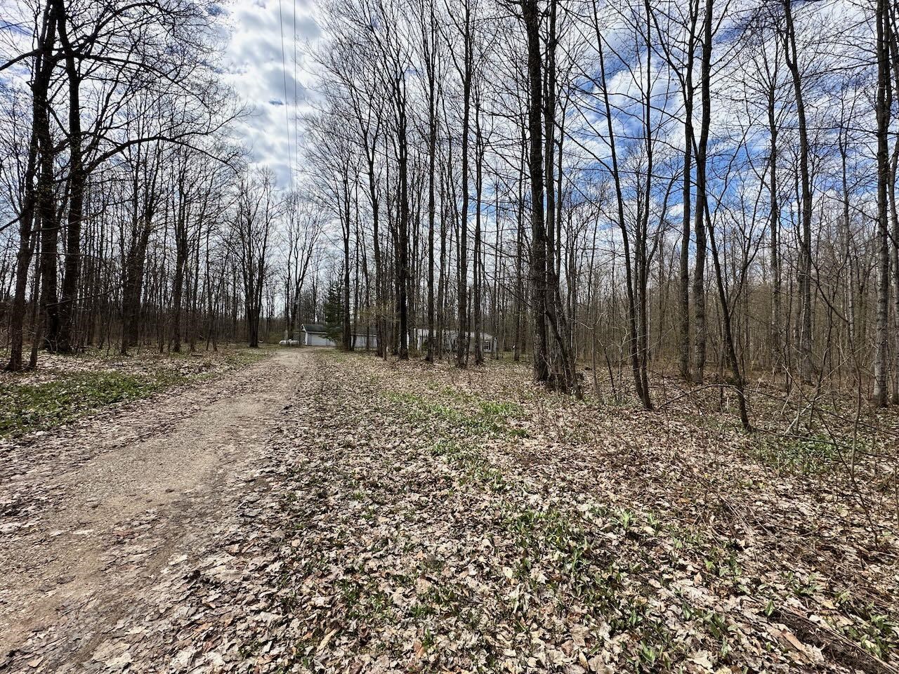 4049 Musser Road Mancelona, MI 49659 - Photo 48 of 50 Gallery Image 48