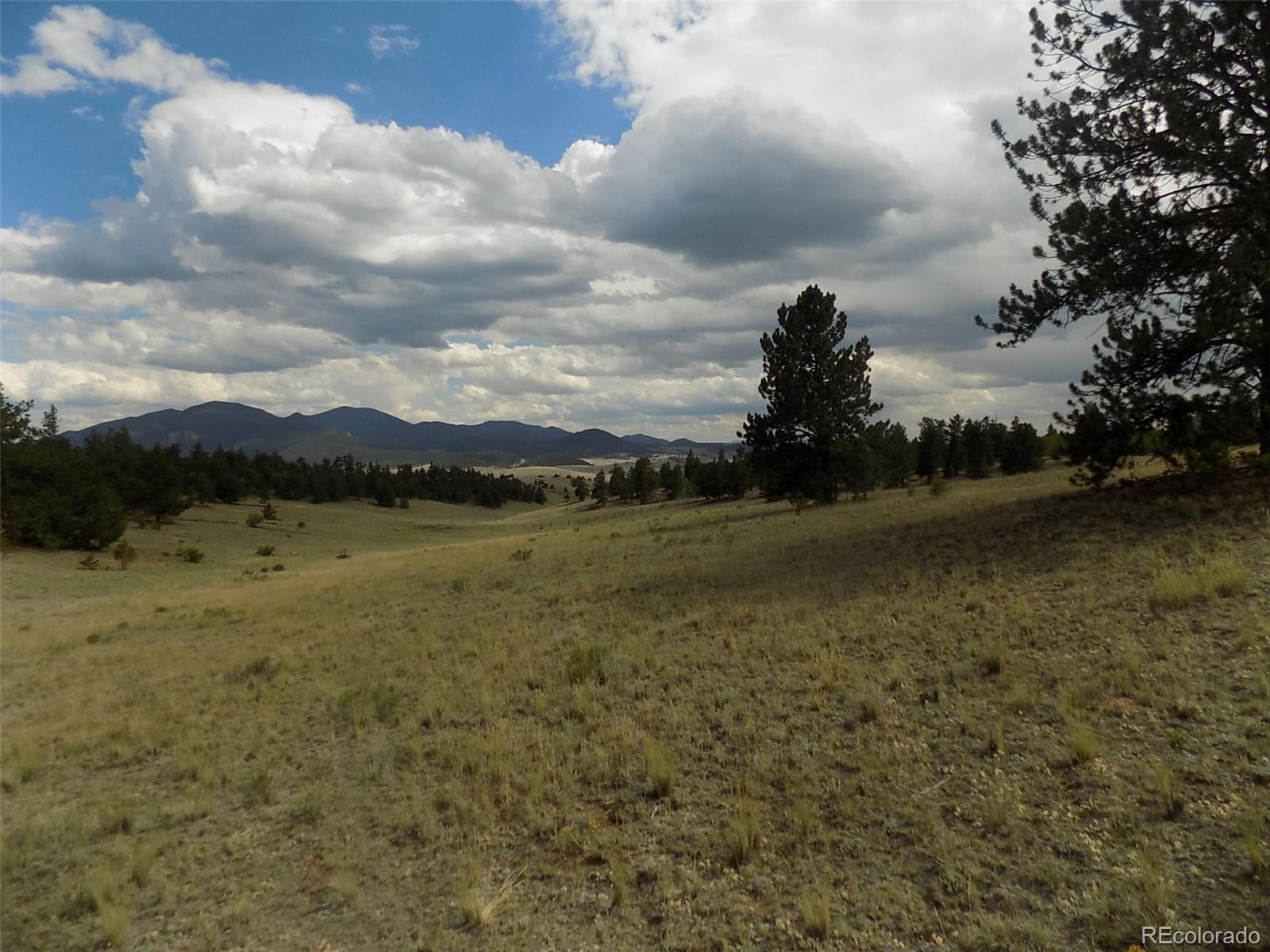 1252 Al Gulch Road Jefferson, CO 80456 - Photo 3 of 12 Gallery Image 3