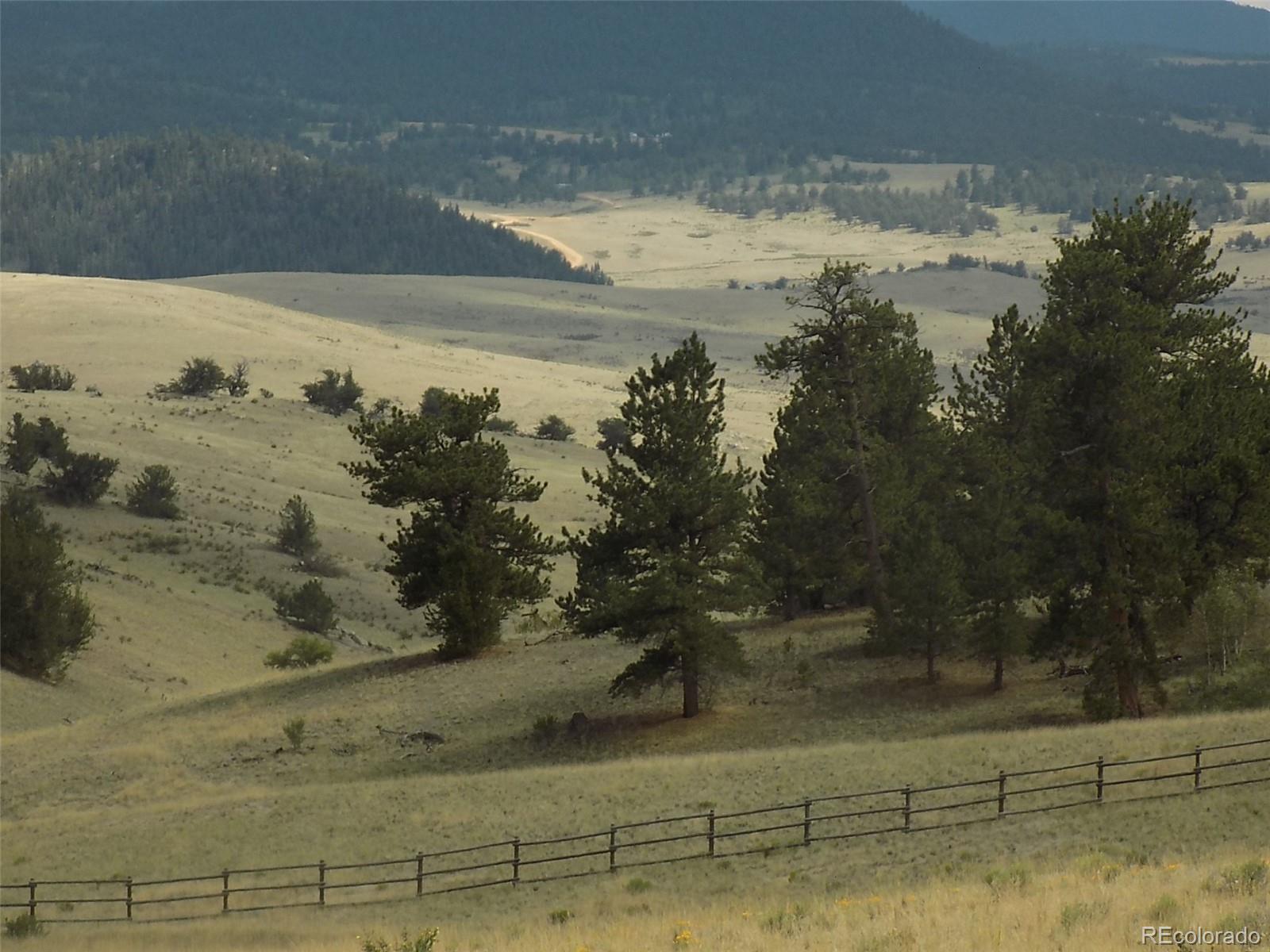 1252 Al Gulch Road Jefferson, CO 80456 - Photo 4 of 12 Gallery Image 4