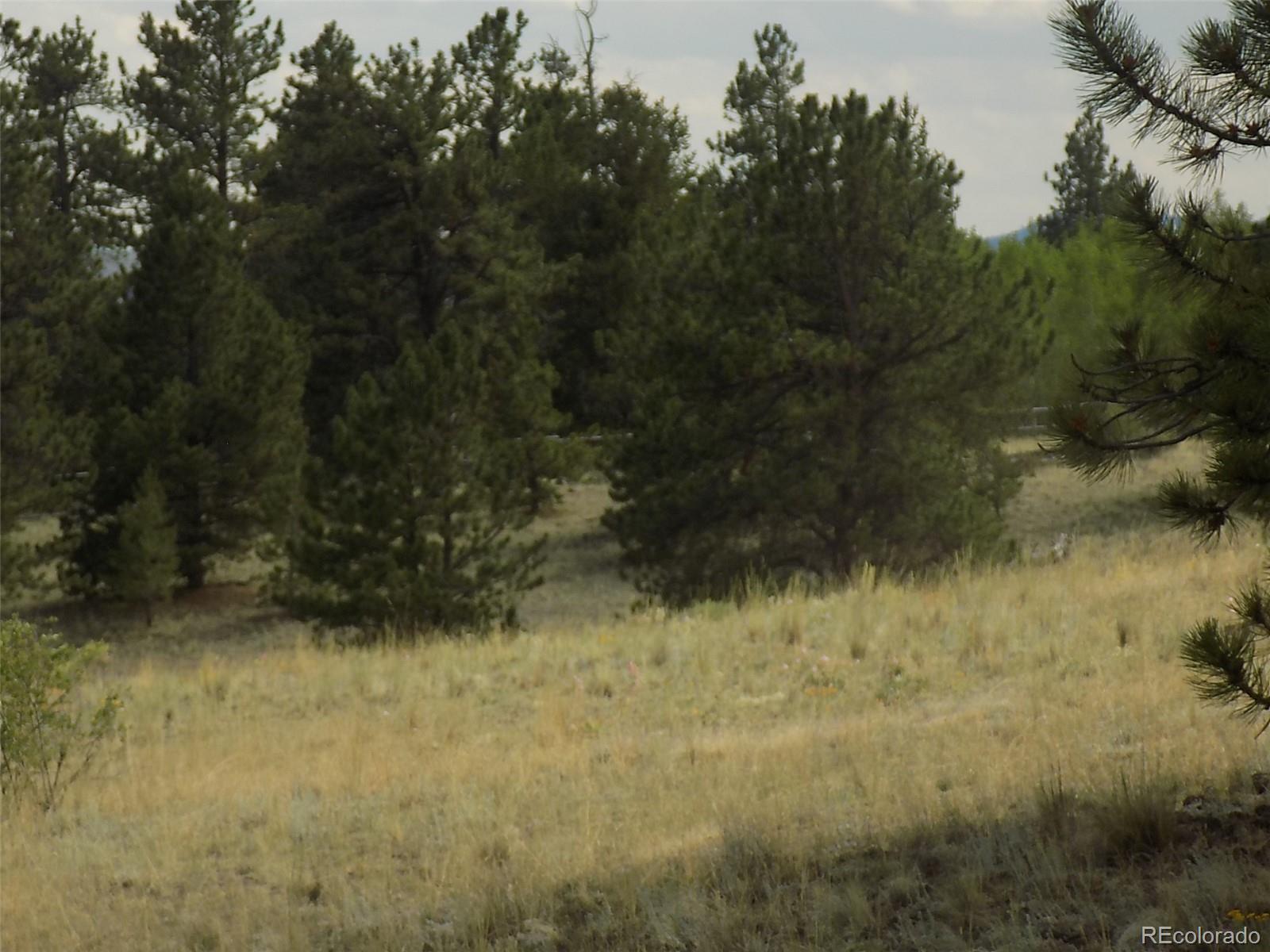 1252 Al Gulch Road Jefferson, CO 80456 - Photo 5 of 12 Gallery Image 5