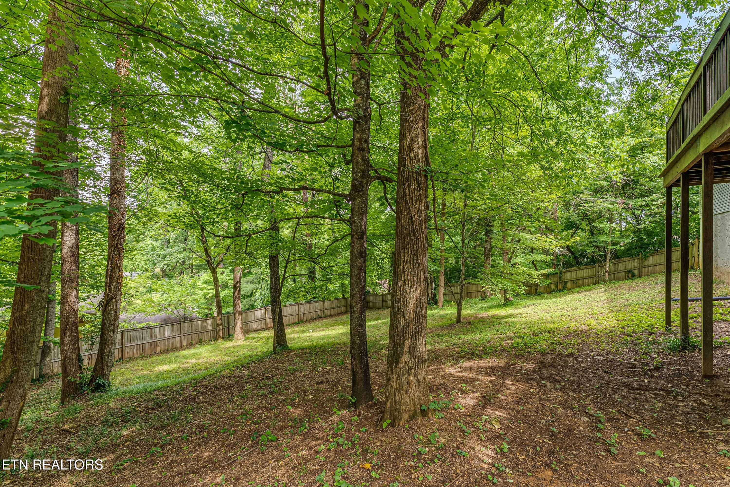 6133 Weems Road Knoxville, TN 37918 - Photo 34 of 34 36-Back A4