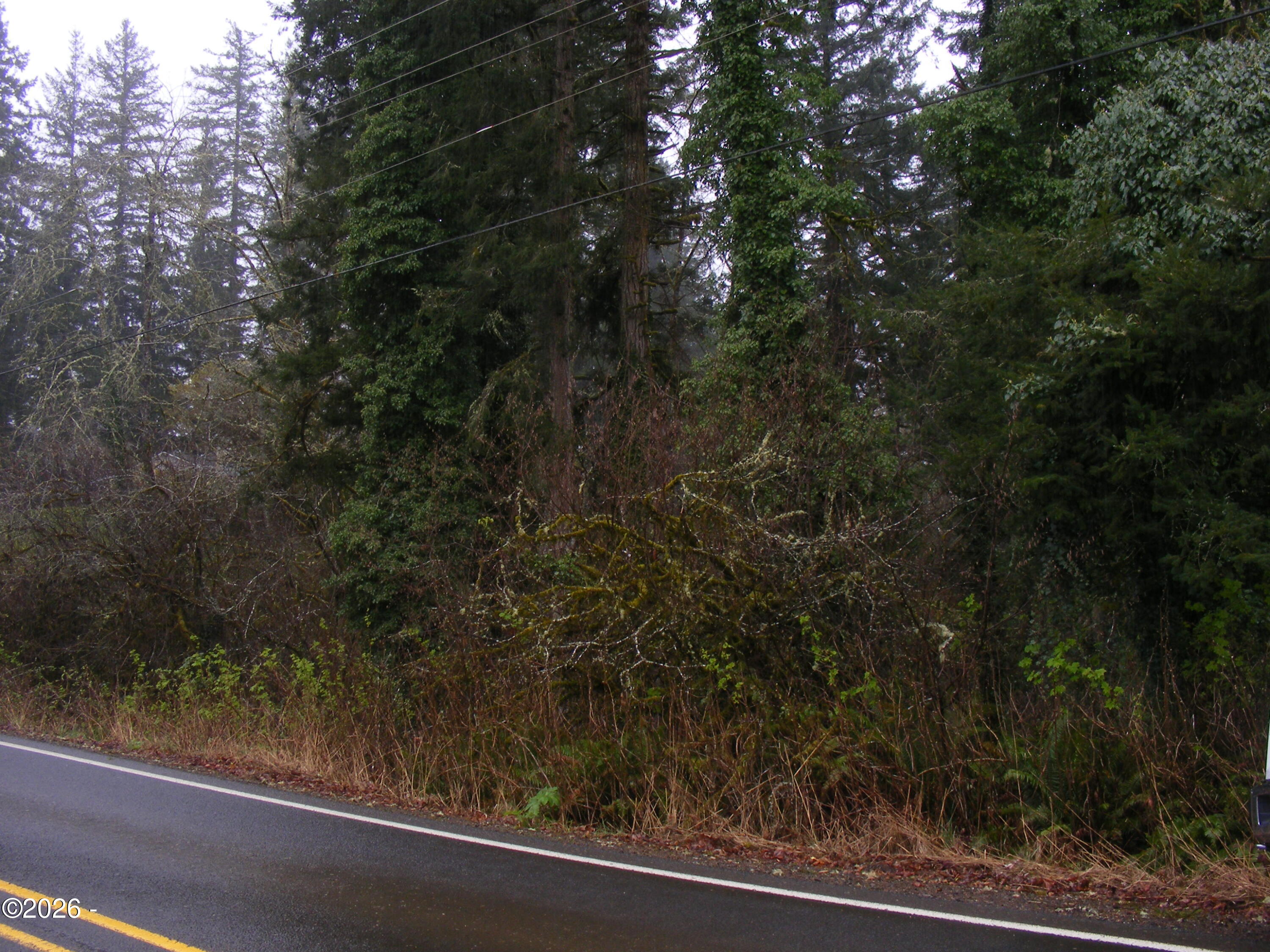 Tl1900 Elk City Road Toledo, OR 97391 - Photo 2 of 3 DSCF2018