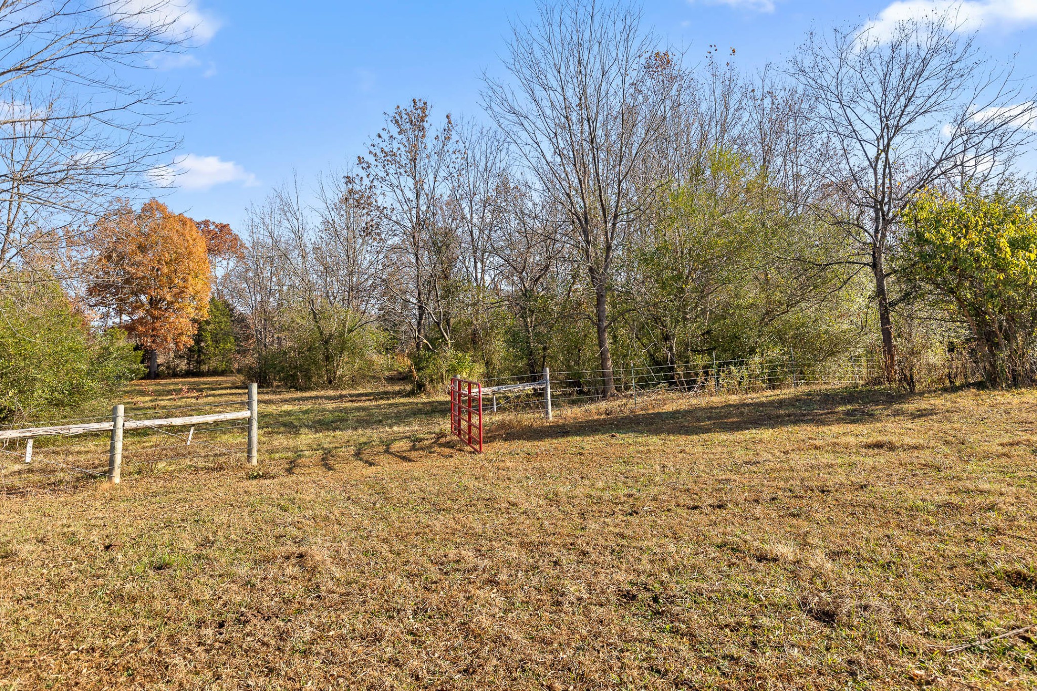 588 Piney Road Trenton, GA 30752 - Photo 21 of 35 Gallery Image 21