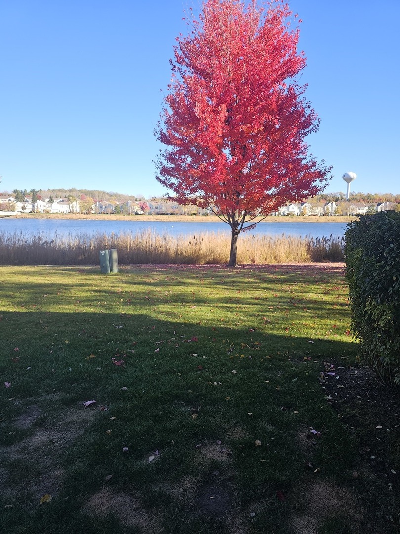 1530 Glacier Trail Carpentersville, IL 60110 - Photo 2 of 24 a swimming pool with green space