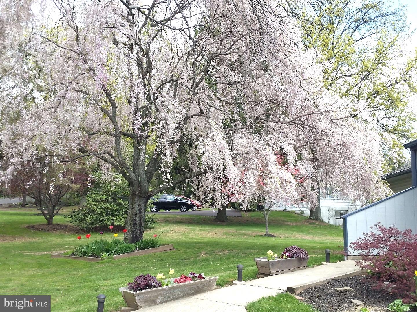 359 Township Line Road Chalfont, PA 18914 - Photo 2 of 24 Gallery Image 2