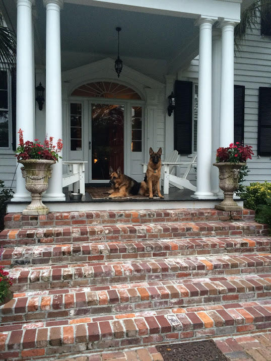 205 Golf Road Summerville, SC 29483 - Photo 11 of 100 2015-06-02 06.36.46
