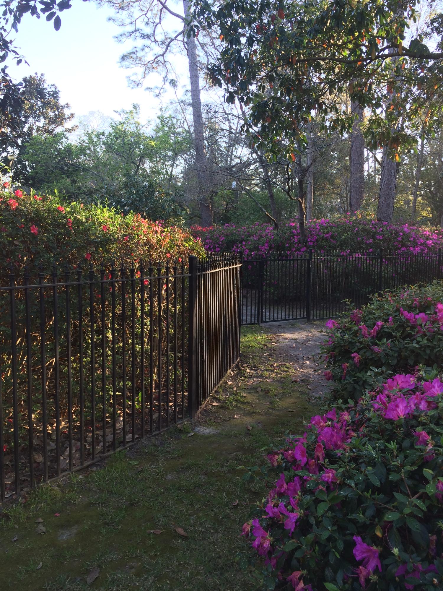 205 Golf Road Summerville, SC 29483 - Photo 73 of 100 2016-03-15 18.33.28 HDR