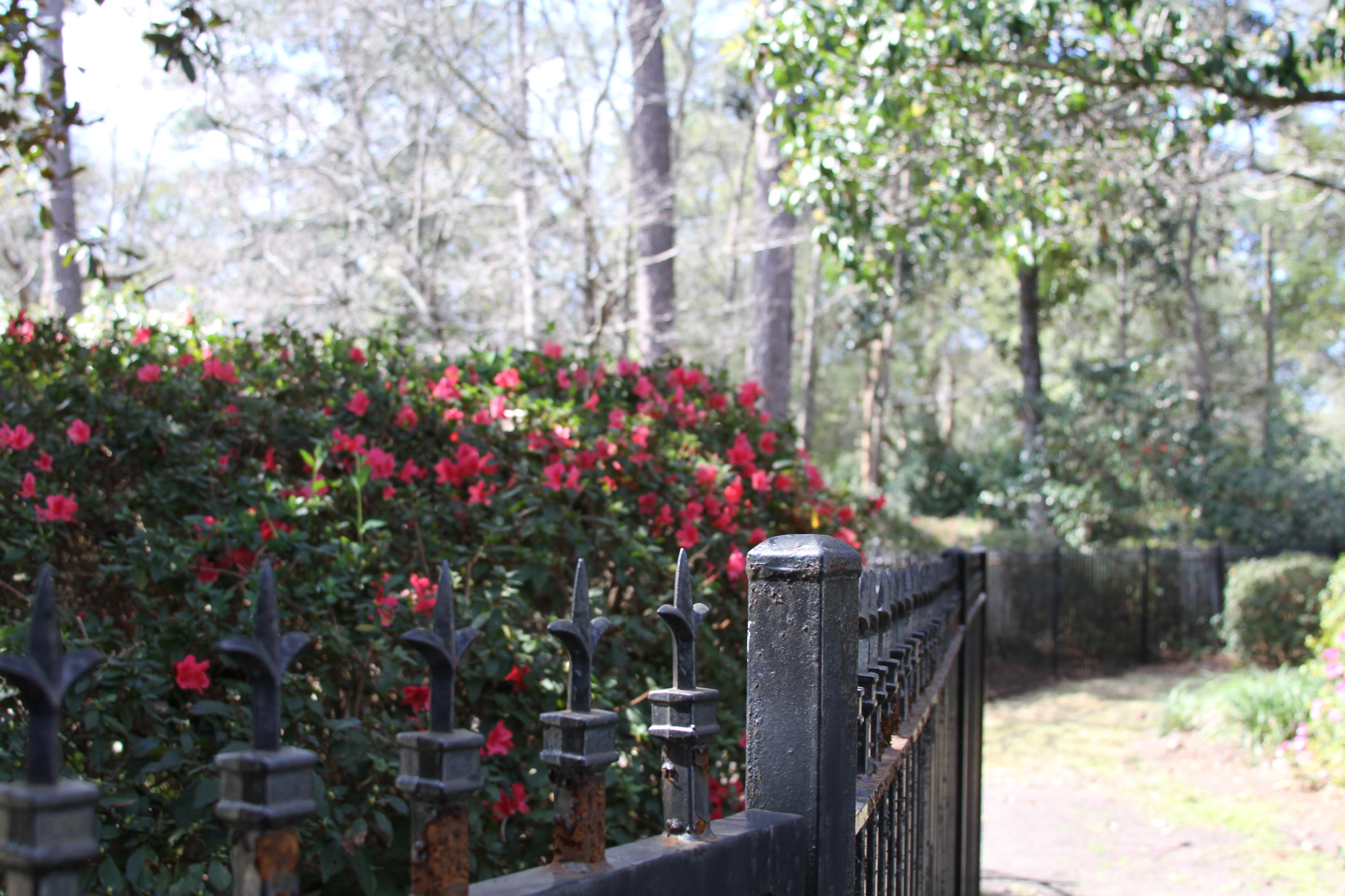 205 Golf Road Summerville, SC 29483 - Photo 78 of 100 IMG_1427