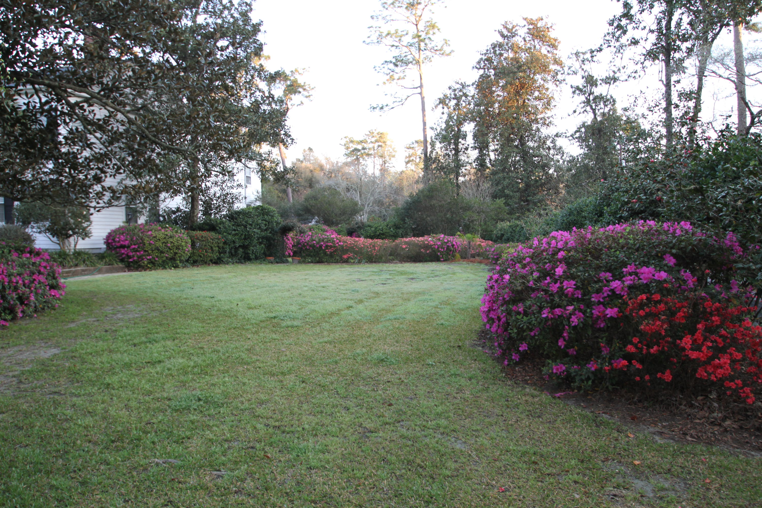 205 Golf Road Summerville, SC 29483 - Photo 97 of 100 IMG_1827