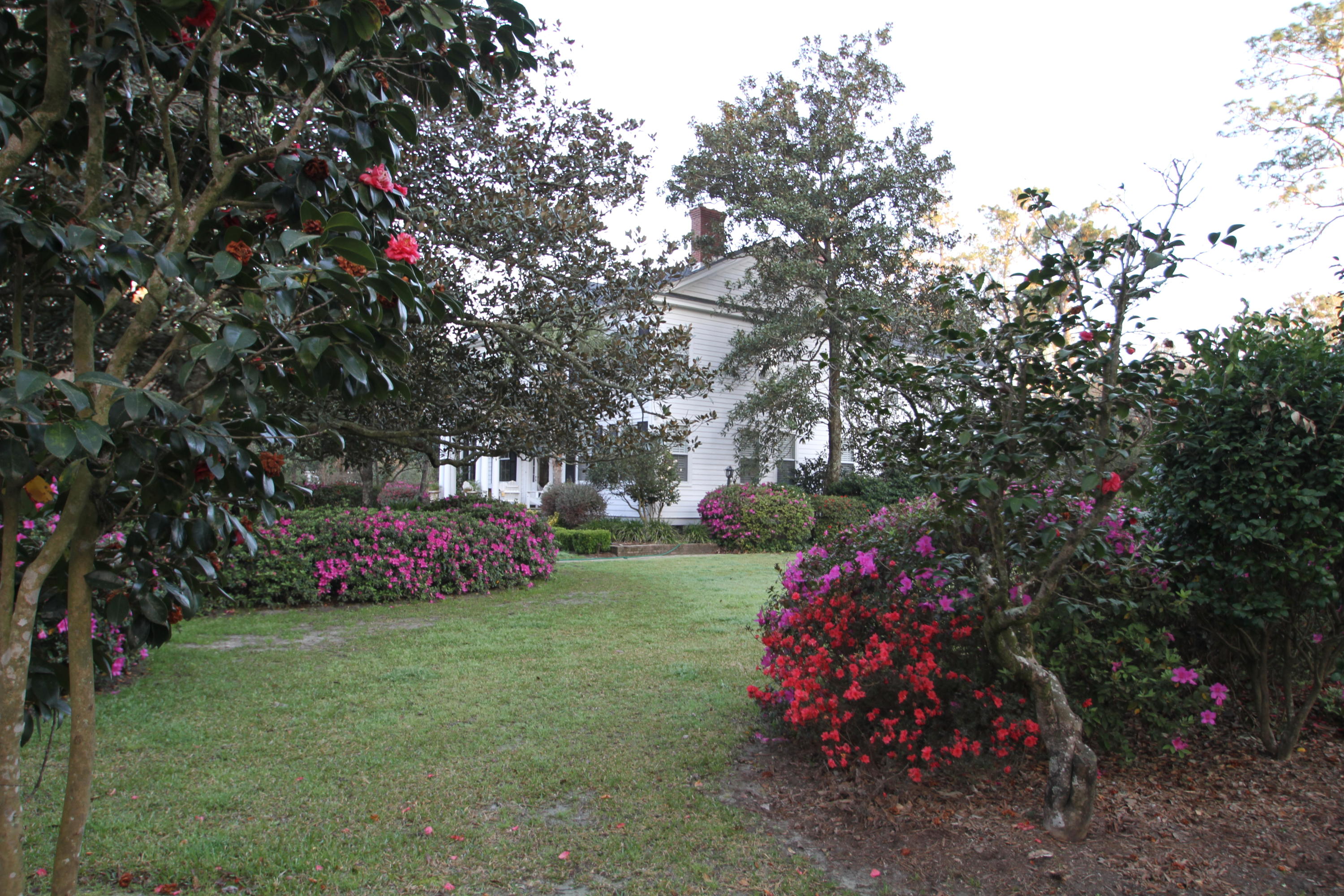 205 Golf Road Summerville, SC 29483 - Photo 98 of 100 IMG_1828