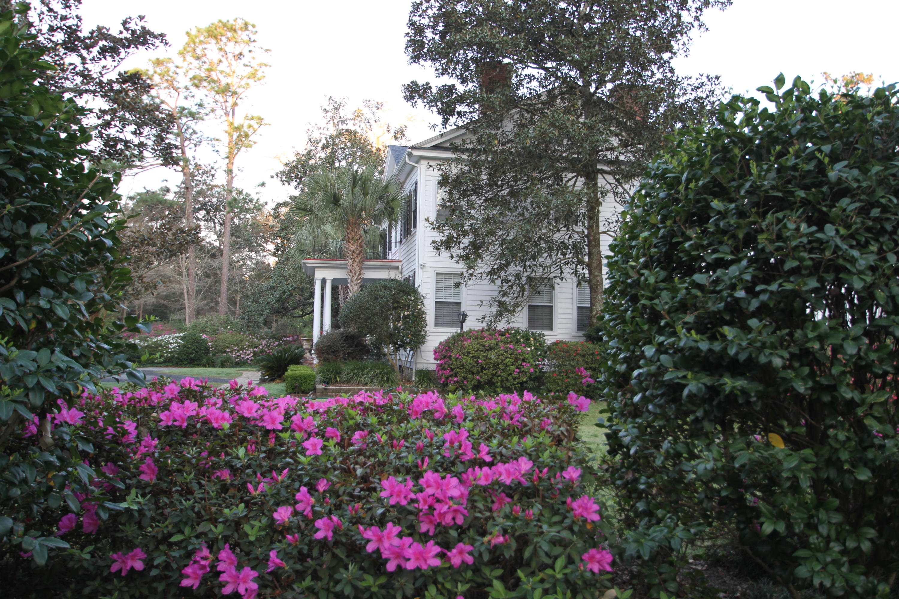 205 Golf Road Summerville, SC 29483 - Photo 99 of 100 IMG_1829