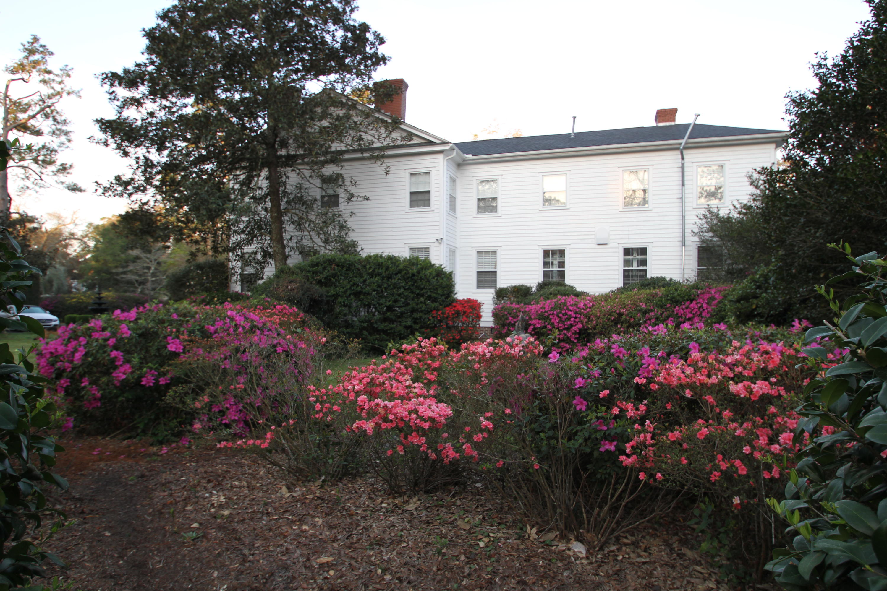 205 Golf Road Summerville, SC 29483 - Photo 100 of 100 IMG_1830