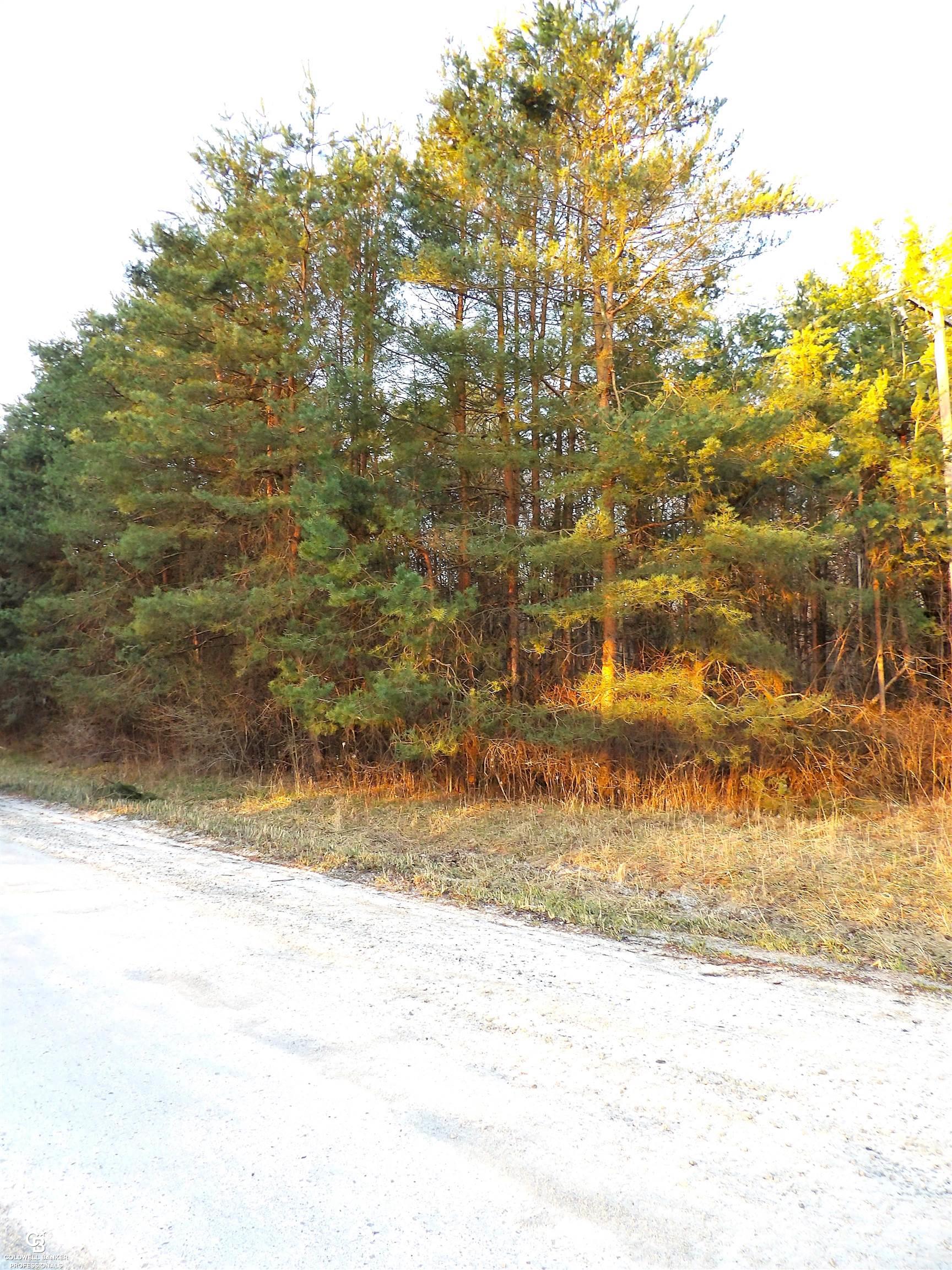 V/l V/l Rynn Avoca, MI 48006 - Photo 8 of 11