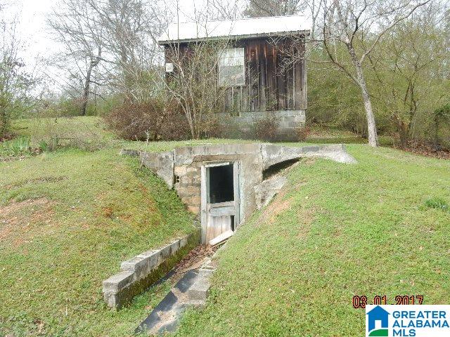 254 Doliska Road Quinton, AL 35130 - Photo 4 of 24