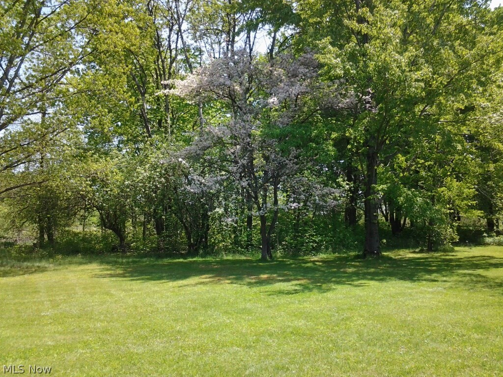 979 Doyle Road Jefferson, OH 44047 - Photo 19 of 21 Gallery Image 19
