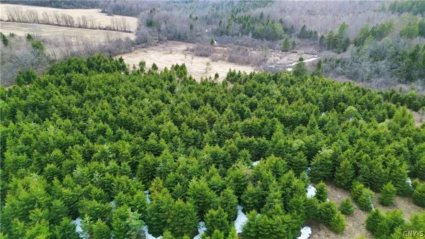 $59,900 | Lot 5 Burrell Road, Little Falls, NY 13365