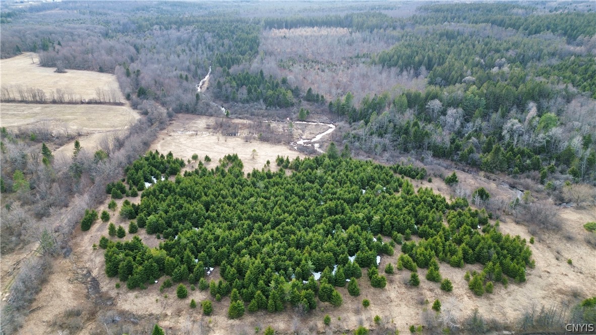 Lot 5 Burrell Road Little Falls, NY 13365 - Photo 2 of 8