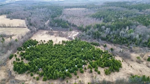 $59,900 | Lot 5 Burrell Road, Little Falls, NY 13365