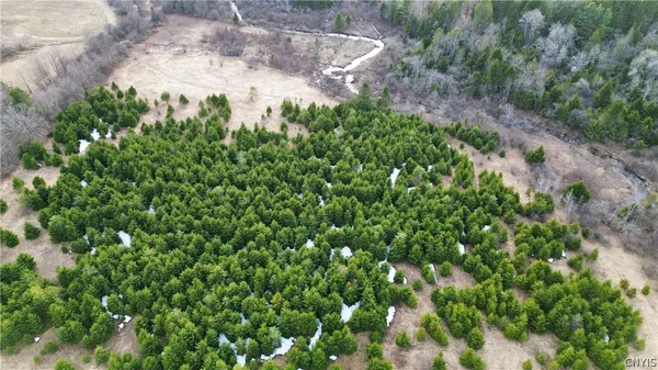 $59,900 | Lot 5 Burrell Road, Little Falls, NY 13365