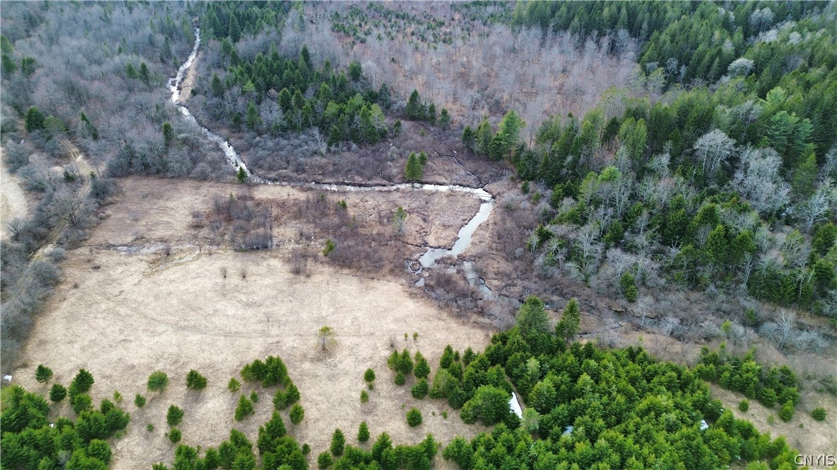 Lot 5 Burrell Road Little Falls, NY 13365 - Photo 5 of 8