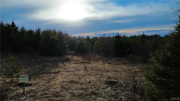 $59,900 | Lot 5 Burrell Road, Little Falls, NY 13365