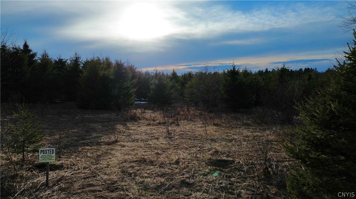 Lot 5 Burrell Road Little Falls, NY 13365 - Photo 6 of 8