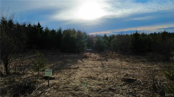 $59,900 | Lot 5 Burrell Road, Little Falls, NY 13365