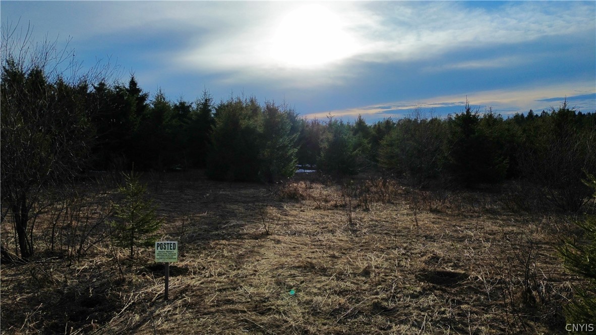 Lot 5 Burrell Road Little Falls, NY 13365 - Photo 7 of 8