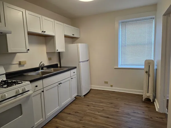 $1,000 | 809 South State Street, Unit 3, Lockport, IL 60441