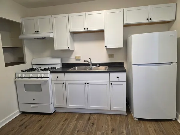 $1,000 | 809 South State Street, Unit 3, Lockport, IL 60441