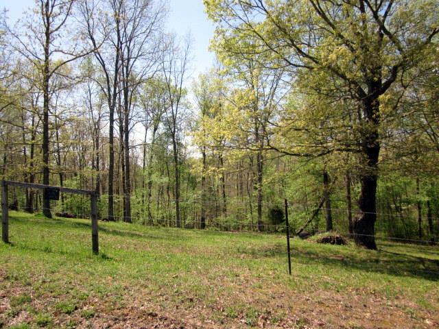 799 Fire Tower Road Dickson, TN 37055 - Photo 2 of 14 Gallery Image 2