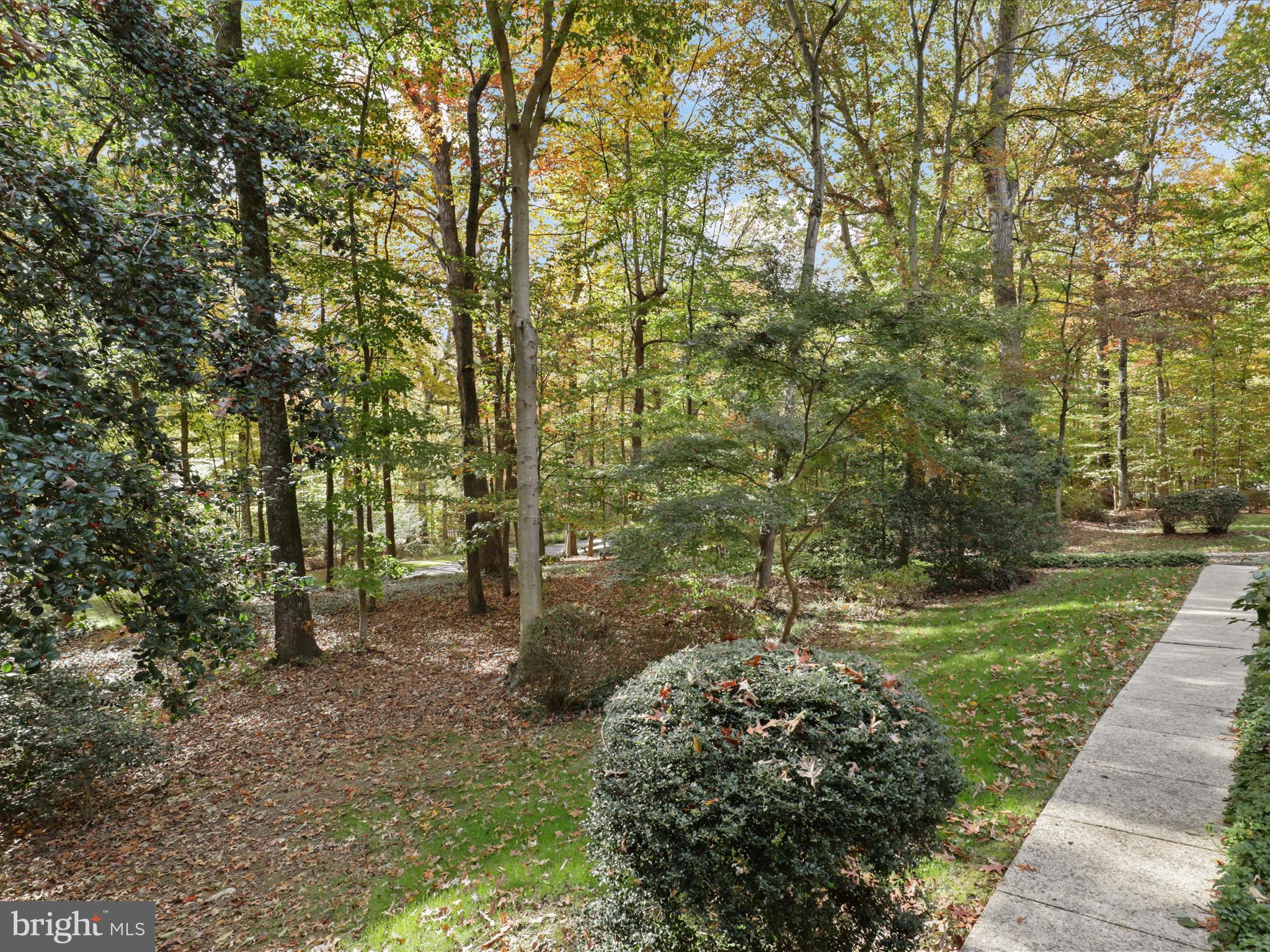 12134 Beaver Creek Road Clifton, VA 20124 - Photo 40 of 44 Yard