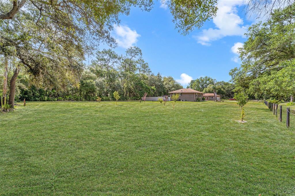15755 Southwest 90th Avenue Dunnellon, FL 34432 - Photo 48 of 55 a backyard of a house with lots of green space
