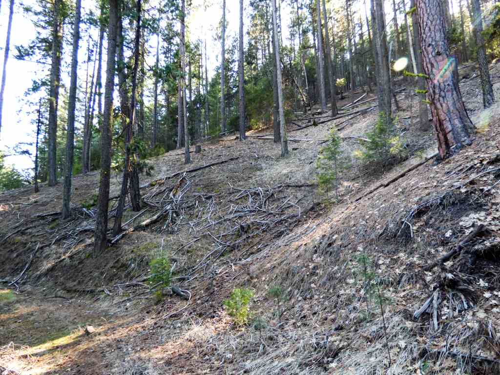 0 Greenhorn Road Yreka, CA 96097 - Photo 11 of 17 Gallery Image 11